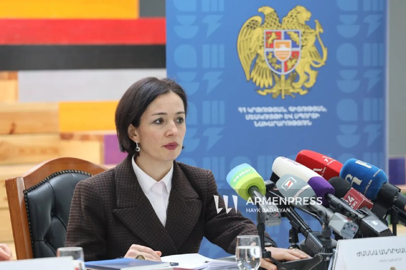 Министр Андреасян подаст в суд за клевету о закрытии школ на фоне выборов в Горисе