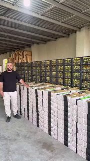 Первая партия армянских абрикосов из Гориса отправлена в Сингапур компанией Davtyan Farms