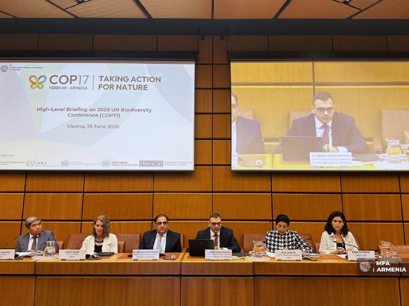 В Вене обсудили подготовку к COP17 по биоразнообразию в Ереване: Горис в фокусе