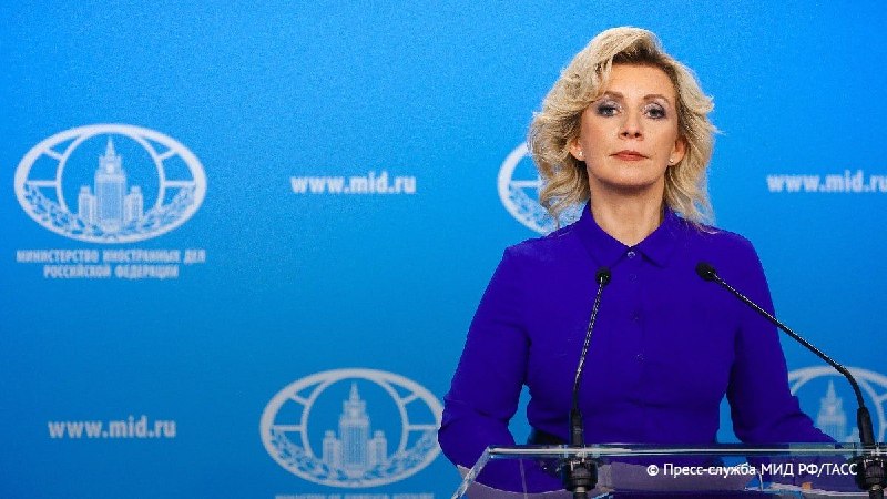 Захарова: ЕС закрыл глаза на принципы демократии ради нужного результата на выборах в Горисе