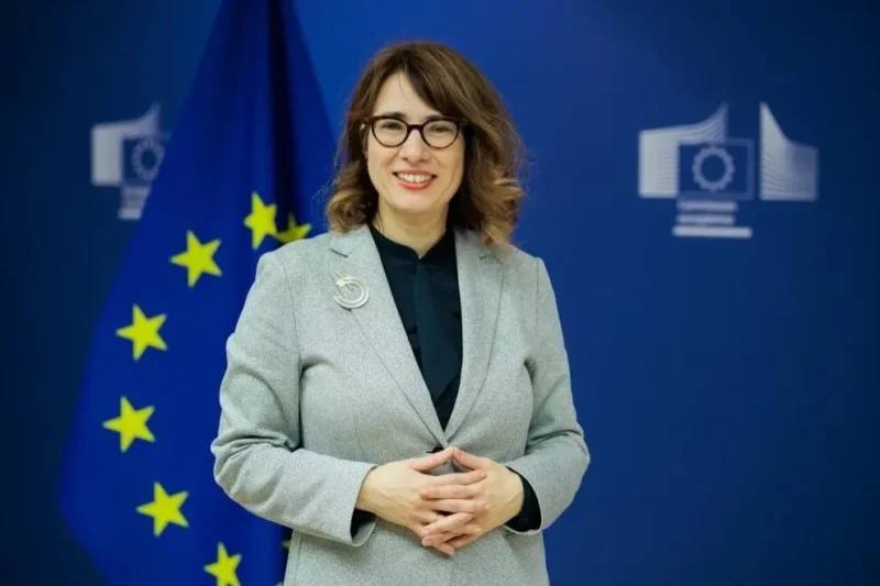 Евросоюз подтвердил поддержку Армении на фоне предстоящих выборов в Горисе