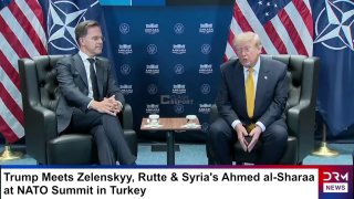 Трамп приостановил торговлю с Испанией: реакция Мадрида