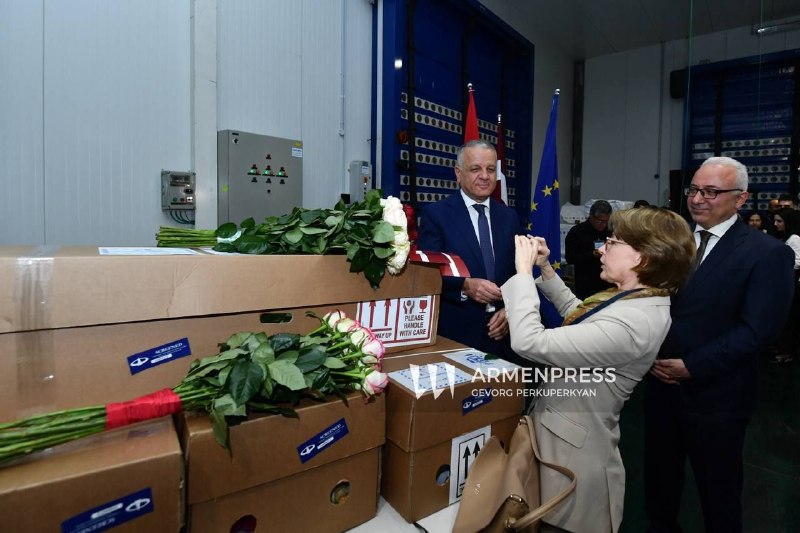 Первая партия роз из Армении экспортирована в Латвию: 5500 цветов отправились из Гориса