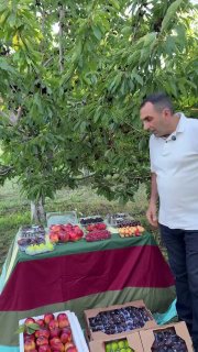 Первая партия армянских фруктов из Гориса отправлена в ОАЭ
